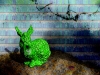 alien easter bunny brainwave 3