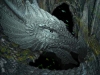 dragons-cave