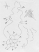 juusola-doodles-01-07-171